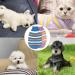 KASESSS 2 Pcs Dog Jumper Winter Dog Jumpers Small Warm Small Dog Jumper Knitted Puppy Jumpers for Small Dogs Puppy Sweater Dog Clothes for Small Dogs Cats Kitten Yorkie Chihuahua(Blue Purple) - Buy Online on GoSupps.com