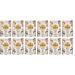 Caputo 12 x Manitoba Oro type 0 cm solid multi-purpose flour 1 kg your baking needs.