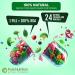 Pure Nutrition Whole Food Multivitamin for Women | 90 Tabs | One-A-Day | 100% RDA | 24 Natural Vitamins and Minerals | All Natural Plant Based Women's Multivitamin | 3 Months Supply 90 Count (Pack of 1) - Buy Online on GoSupps.com