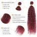12A Grade 99j Burgundy Water Wave Hair 3 Bundles with Closure - Brazilian Virgin Remy Wine Red Ocean Wave Hair Extensions (12 14 16+10) - Buy Online on GoSupps.com