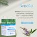 Fitoben Fitoben | Agnocasto 100% natural supplement for menstrual cycle and menstrual irregularities. Naturally gluten-free lactose-free and colorant-free. Made in Italy | 50 vegetable capsules - Buy Online on GoSupps.com