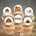 PRECUT Thanksgiving Cupcake Toppers Edible Thanksgiving Cake Decorations Edible Thanksgiving Decorations Fall Cake Topper Edible Pumpkin Cake Decorations (12) - Buy Online on GoSupps.com