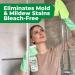 Mighty Mint Mold & Mildew Stain Remover Spray - Natural Peppermint Fast Cleaning for Bathroom Kitchen Hard Water & Outdoor Use - 16oz - Buy Online on GoSupps.com