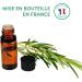 Sea Buckthorn Oil (30 ml) - Buy Online on GoSupps.com