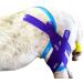 Equi-Tape Advantage 3 Light Blue Tape for Horse & Pony - Muscle Pain Relief, Joint Stability | Safe, Lightweight, Waterproof Tape with Grade Adhesive - Buy Online on GoSupps.com