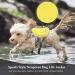 VIVAGLORY Lightweight Dog Life Jacket - Skin-Friendly Neoprene D-Ring & Quick Release Buckle for Small Dogs (48-56cm Chest) - Yellow Pet Lifesaver - Buy Online on GoSupps.com