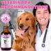 laraspi Collagen for Dogs Joint Supplement for Dogs with Biotin MSM & Ginger Helps with Shiny Coat Healthy Skin and Joint Digestive Health Delicious Bacon Flavor - 2 fl oz - Buy Online on GoSupps.com
