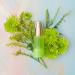 doTERRA Verage Immortelle Hydrating Serum - 15 mL | Premium Anti-Aging Skincare | International Shipping Available - Buy Online on GoSupps.com
