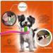 Moofurr Dog Toothpaste 75ml - Natural Beef Flavor Tartar Removal & Dental Care for Dogs - Daily Use - Buy Online on GoSupps.com