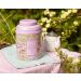 New English Teas Song Thrush & Berries Tea Caddy - 240 English Breakfast Teabags | Pink Design - Buy Online on GoSupps.com