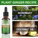 Buy Rosemary Oil for Hair Growth - 30ml Essential Oil | Natural Hair & Skin Care | Nourishes Scalp Eyebrows & Eyelashes (3PCs) - Buy Online on GoSupps.com