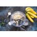 Vegji Bio Vegan Protein Blend 1000g - High Protein Pea Rice & Hemp | Natural Unsweetened Ingredients | 1 Pack - Buy Online on GoSupps.com
