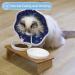 ComSaf Adjustable Starry Pattern Cat Collar - Post-Surgery Protection to Prevent Licking | Soft & Comfortable Cat Band - Buy Online on GoSupps.com