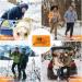 Reusable Hand Warmer 8-Series | Pocket Warmer for Kids & Adults | Ideal for Outdoor Sports Camping & Gifts - Buy Online on GoSupps.com