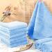 Panelee 10-Piece Waterproof Guinea Pig Cage Inserts | Absorbent Reusable Sleeping Mat (Blue 18 x 24 inches) - Ideal for Small Animals - Buy Online on GoSupps.com