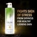 Olay Hydrating Body Wash with Hempseed Oil and Vitamin B3 - 20 Fl Oz (Pack of 4) - Buy Online on GoSupps.com