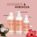 SheaMoisture Coconut & Hibiscus Curly Hair Care Set - Moisturizing Shampoo Conditioner & Curl Shine Mist | International Shipping Available - Buy Online on GoSupps.com