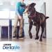 Purina Dentalife Dog Treats - Tartar Control Snacks for Small to Large Dogs 6 x 142g (852g) - International Shipping Available - Buy Online on GoSupps.com