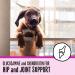 SmartyPaws Dog Vitamins for Joint & Gut Health - Peanut Butter Multivitamin Chews with Glucosamine & Probiotics | 60 Soft Chews - Buy Online on GoSupps.com