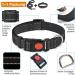 Haapaw Reflective Dog Collar - Padded Soft Neoprene Nylon for Small & Medium Dogs - Black (1 Pack) - Buy Online on GoSupps.com
