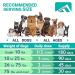 FORTICEPT Dog Hip & Joint Supplement with Glucosamine  Chondroitin  MSM  Green-Lipped Mussels & Curcumin - Arthritis Support - 90 Bacon Flavored Chews - Buy Online on GoSupps.com