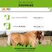 ESTELLA Chasteberry Juice for Horses - 1L | Hormone Balance Cushing & PPID Support | Herbal Ingredients - Buy Online on GoSupps.com