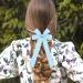 WLLHYF 2PCS Silky Satin Hair Bows Hair Clip French Hair Ribbon Ponytail Holder Metal Slides Barrette Alligator Clips Big Long-tail Aesthetic Hair Accessories for Women Girls(Blue) - Buy Online on GoSupps.com
