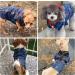 Doggystyle Pet Vests Denim Hoodie Jacket for Small Dogs (S 4-6 lbs) - Strawberry - Buy Online on GoSupps.com