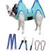 Kkiimatt pet care hammock harness dog care hammock Small dogs dog-hinge trim hammock with nail clipper dog hooking mat for care with a wide strap (medium 16 kg max/turquoise) Middle 16 kg max/turquoise