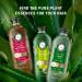 Herbal Essences Avocado & Argan Oil Conditioner - Sulfate-Free 13.5 fl oz | Shop Internationally - Buy Online on GoSupps.com