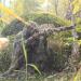 AUSCAMOTEK Ghillie Suit Poncho - Camouflage Cloak for Hunting and Bird Watching - Buy Online on GoSupps.com