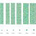 Jollin 3456pcs Flatback Rhinestones Glass Charms Diamantes Gems Stones for Nail Art 6 Size ss4 ss12 Light Green AB - Buy Online on GoSupps.com