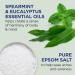 Dr Teal s Salt Soak with Pure Epsom Salt Relax & Relief with Eucalyptus & Spearmint 3 lbs (Packaging May Vary) - Buy Online on GoSupps.com