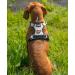 Shop Lionto Adjustable Padded Anti-Pull Dog Harness - Reflective Safety Harness Size S Beige | International Shipping Available - Buy Online on GoSupps.com
