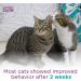 Comfort Zone Multi-Cat Diffuser Refills - 3 Pack | Veterinarian Recommended Solution for Peaceful Home, Stop Cat Fighting, Spraying & Scratching - Buy Online on GoSupps.com