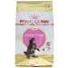 Royal Canin Kitten Food Maine Coon 36 Dry Mix 4 kg Variety 4 kg (Pack of 1)
