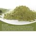 Organic Barley Grass Powder 8.5oz - Non-GMO, Rich in Vitamins & Minerals, Vegan Friendly | Antioxidants for Detox & Digestion - Individual Package - Buy Online on GoSupps.com