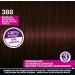 Schwarzkopf Perfect Permanent Mousse Schaumcoloration 388 Dunkles Rotbraun Stufe 3 3er Pack (3 x 93 ml) - Buy Online on GoSupps.com
