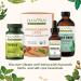Banyan Botanicals Nasya Oil - Organic Herbal Nasal Drops for Clear Breathing - 1 fl oz - Buy Online on GoSupps.com