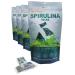 Easy Boost Fresh Frozen Spirulina Packs 100% Natural Non-GMO Vegan (4)