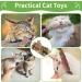 6 Pieces Catnip Sticks & Matatabi Cat Toys | Natural Interactive Chew Toys for Cats - Buy Online on GoSupps.com