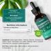 Liquid Chlorophyll Drops for Water | 100ml - 3+ Months Supply | Vegan Liquid Food Supplement Extracted from Alfalfa | Mint Flavour | by Horbaach - Buy Online on GoSupps.com