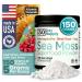 Atlantic Naturals Sea Moss Superfood Powder with Ashwagandha Beet Root and Maca Root - Sea Moss Powder Supports Healthy Skin Athletic Performance and Positive Mood - Vanilla Flavor (150g)