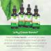 Stevia Liquid Drops Coffee Classics Bundle - 4 Flavours (Vanilla Irish Cream Cappuccino Hazelnut) - Zero Calorie Natural Sweetener by CraveStevia - Buy Online on GoSupps.com