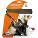 ICA DA973 Ferret Set with Harness & Belt - Black | Premium International Shipping - Buy Online on GoSupps.com