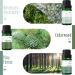 MitFlor Woodland Scented Oil Set - Aromatherapy Essential Oils for Soap, Candles & Car Diffuser - Pine, Cedarwood, Frosted Fir & More - Buy Online on GoSupps.com