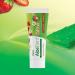 Aloe Dent Children's Aloe Vera Toothpaste Fluoride Free Natural Action Vegan Cruelty Free SLS Free Strawberry Flavour Healthy Gums 50 ml (Pack of 2) 50 ml (Pack of 2) Kids' Toothpaste - Buy Online on GoSupps.com