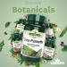 Saw Palmetto 90 x 500mg - Buy Online on GoSupps.com