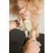 Shop Andis Premium Pet Grooming 7 Straight Scissors - Top Quality for Perfect Pet Trim | International Shipping Available - Buy Online on GoSupps.com