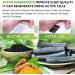 Detoxifying Foot Pads - 100% Natural Herbal Cleansing Patches for Better Sleep & Stress Relief - 20 Pcs - Buy Online on GoSupps.com